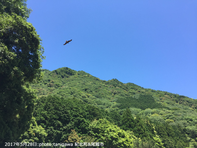 紀北町ツアーとスクール